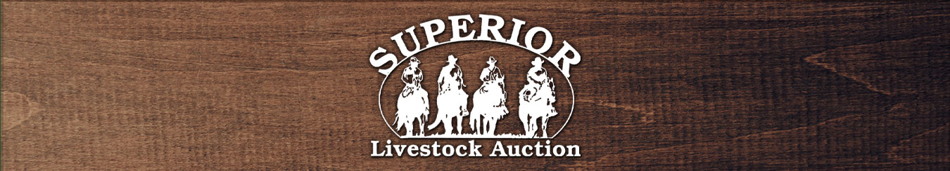 Superior Livestock Auction